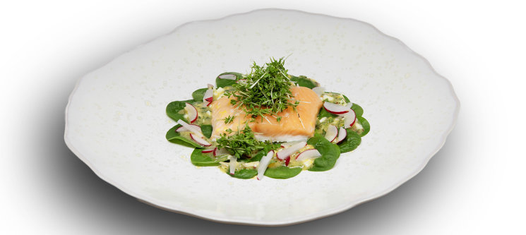 Le filet d’omble «cuit à l’assiette», vinaigrette de pousses d’épinards à l’huile de noix vaudoise AOP