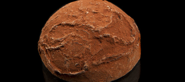 Framboise & thé earl grey