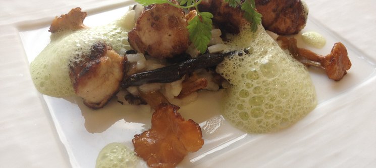 Croustillants de ris de veau sur risotto aux champignons - Emulsion de cresson et persil