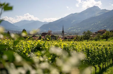 Grisons